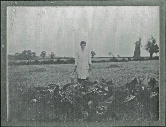 Tharston tower mill in background
